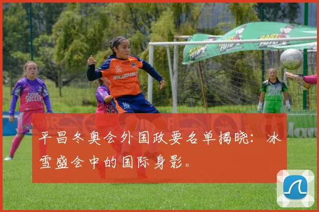 平昌冬奥会外国政要名单揭晓：冰雪盛会中的国际身影。
