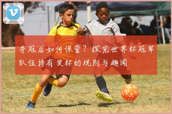 夺冠后如何保管？探究世界杯冠军队伍持有奖杯的规则与趣闻