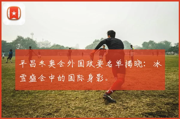 平昌冬奥会外国政要名单揭晓：冰雪盛会中的国际身影。