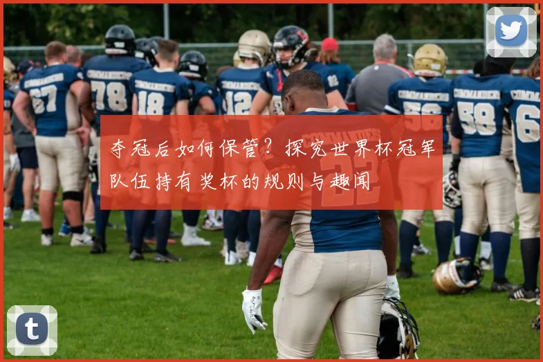 夺冠后如何保管？探究世界杯冠军队伍持有奖杯的规则与趣闻