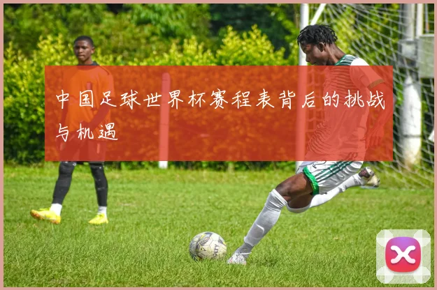 中国足球世界杯赛程表背后的挑战与机遇