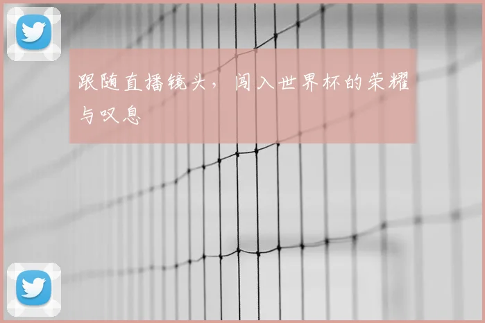 跟随直播镜头，闯入世界杯的荣耀与叹息