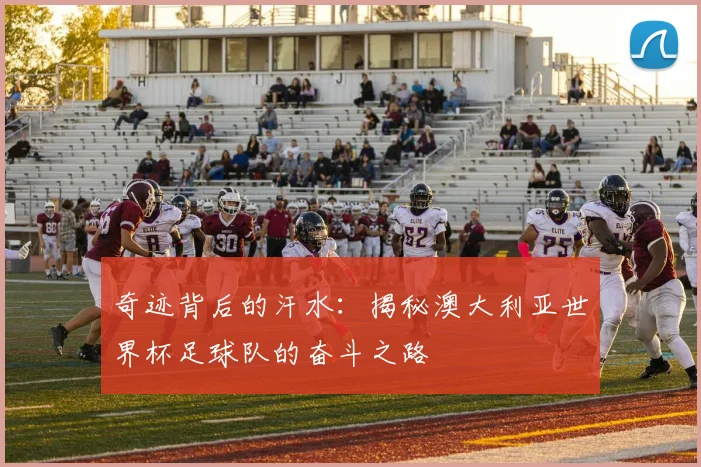 奇迹背后的汗水：揭秘澳大利亚世界杯足球队的奋斗之路
