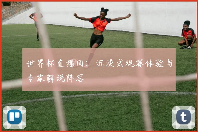 世界杯直播间：沉浸式观赛体验与专家解说阵容